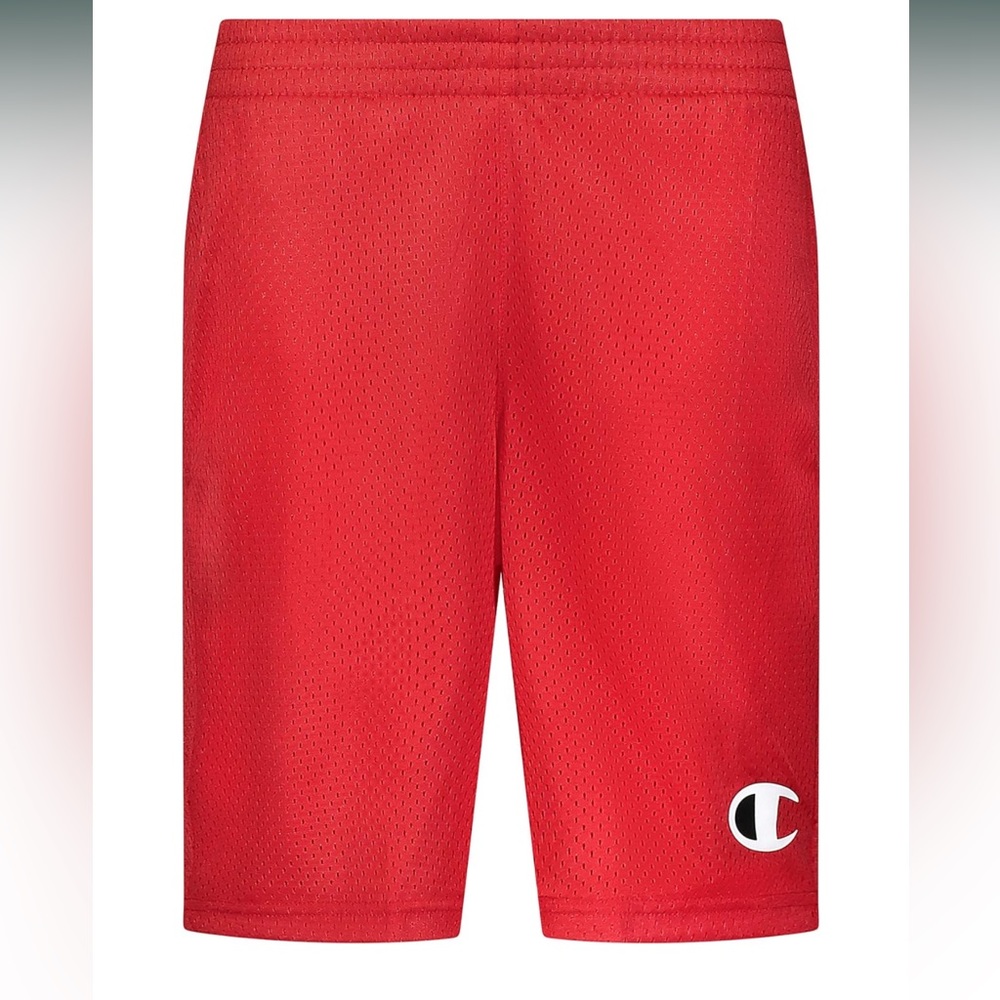 Champion Boys Hertiage Script Mesh Short-Small